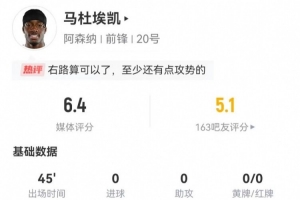 土耳其国家足球教练