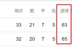 沙特足球队教练