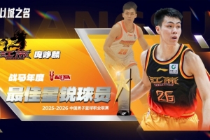 汉密尔顿vs邓迪联