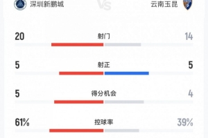 猛龙主场新地标