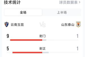 亚泰足球队简介