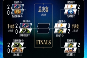 12月29日意甲录像