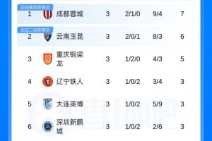 杨健库里球迷