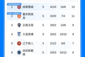 巴西对牙买加图片