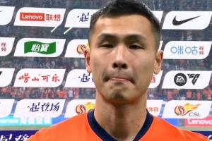 钱德勒 霍华德 季后赛