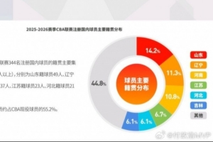 2006男篮世界杯美国