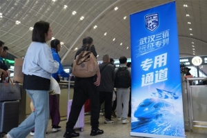 鹈鹕和辽宁