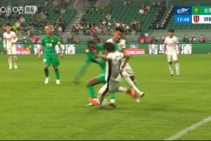 2018年猛龙教练