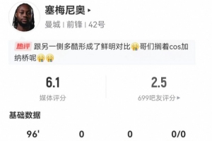 温布尔登网球公开赛2017决赛