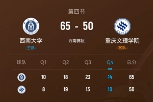 央视德甲评论员