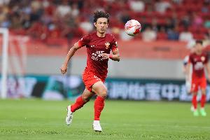 伊布进不了国家队