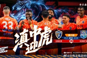 买篮球网怎么选