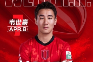 迭戈雷南fifa