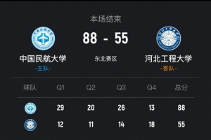 巴西国家足球队名宿
