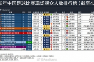 维戈塞尔塔战绩