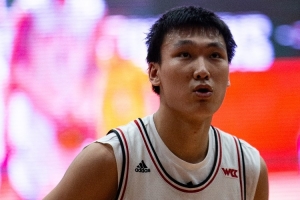 里尔VS尼斯历史交锋