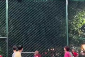 隔着屏幕都能感受捡球的无奈